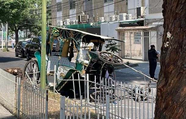 Calandria sufre accidente en la calle Progreso y López Cotilla