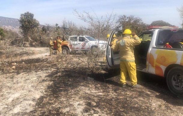 Contienen incendio en pastizal cercano a La Primavera