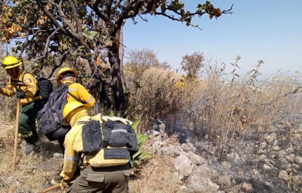 Controlan incendio forestal en el Cerro del Colli