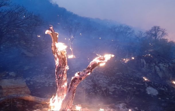 Viento complicó combate a incendio en el Cerro del Chicharrón