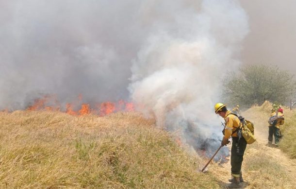 Se registra nuevo incendio en La Primavera