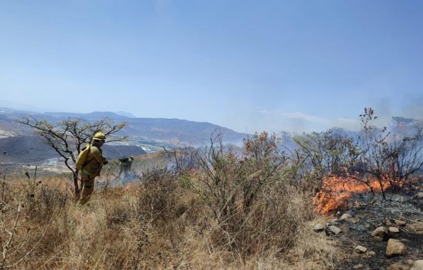 Mantienen combate de incendio forestal en Zapopan