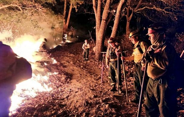 Viento complicó el control del fuego en Cerro de Totoltepec