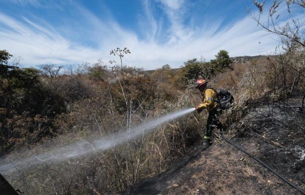 Contienen avance de incendios en El Tepopote y en Cerro Viejo