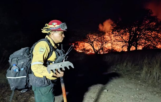 Liquidan un segundo incendio dentro del Bosque de La Primavera