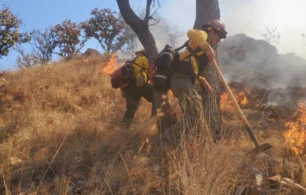 Mantienen combates a incendios en El Tepopote y Cerro Viejo