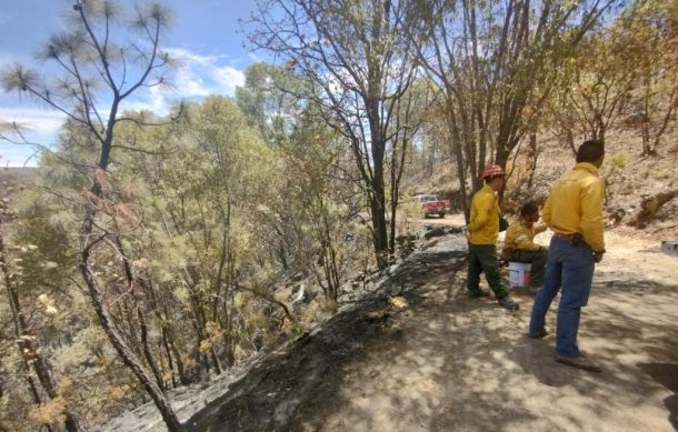 Liquidan incendio en el Bosque de La Primavera