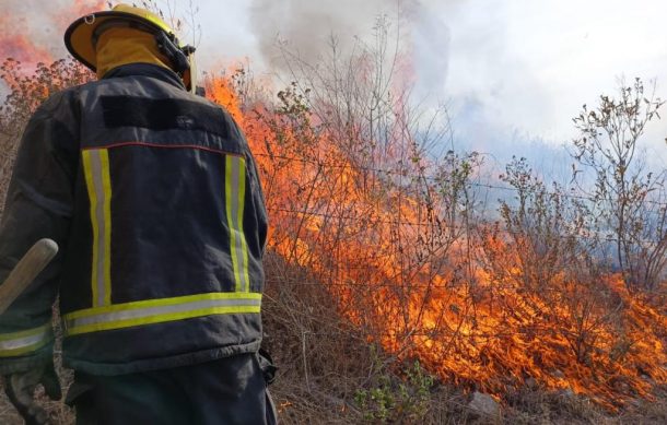 Incendios forestales afectan varios puntos de la ZMG