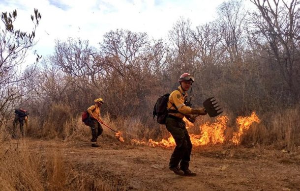 Cumple 24 horas combate a incendio en Cerro de Totoltepec