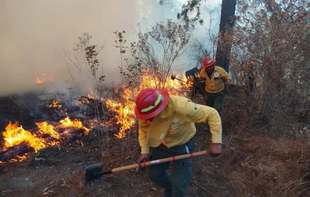 Después de tres días controlan incendios forestales en Tapalpa y Atemajac