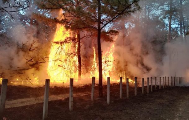 Controlan incendio forestal en Talpa de Allende