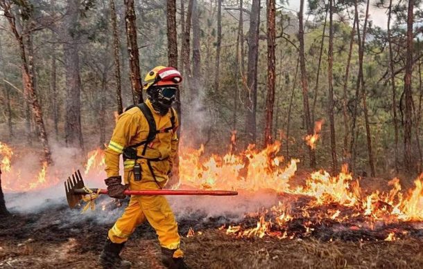 Cumple tres días el fuerte incendio forestal en Chiquilistlán