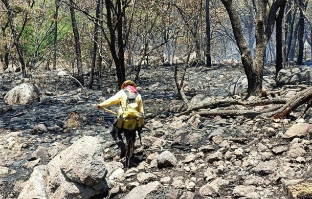 Se reactiva el fuego en el Cerro Los Bailarines de Zapopan