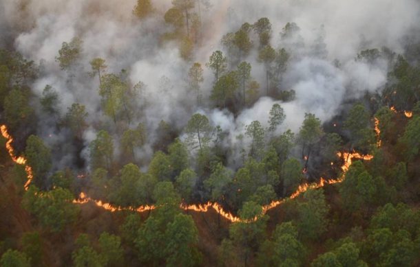 Brigadistas controlan en 80% el incendio en Atemajac de Brizuela