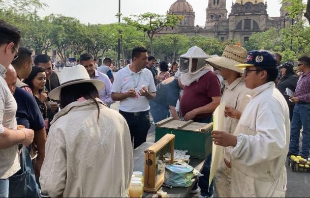 Protestan apicultores por muerte de abejas en Jalisco