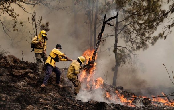 Jalisco registra su segundo peor año en incendios forestales desde 1997