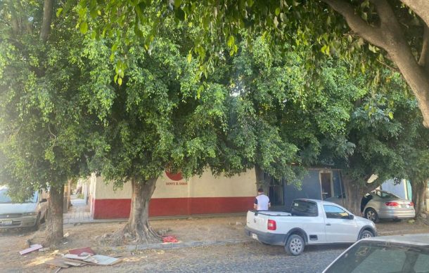 Vecinos de El Mante buscan evitar tala de 15 árboles