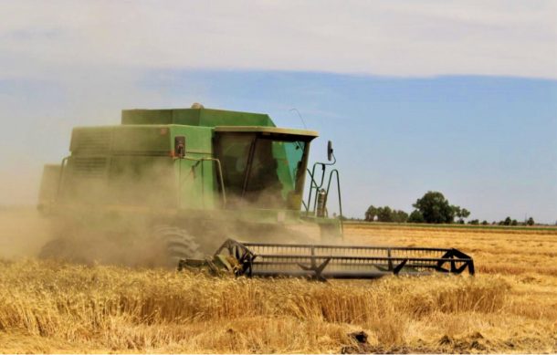 Productores agrícolas advierten manifestación en la Glorieta del Álamo