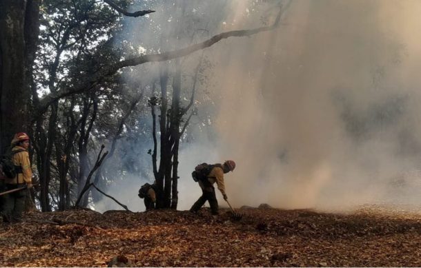 Vinculan a proceso a sujeto que provocó incendio en Pinar de la Venta