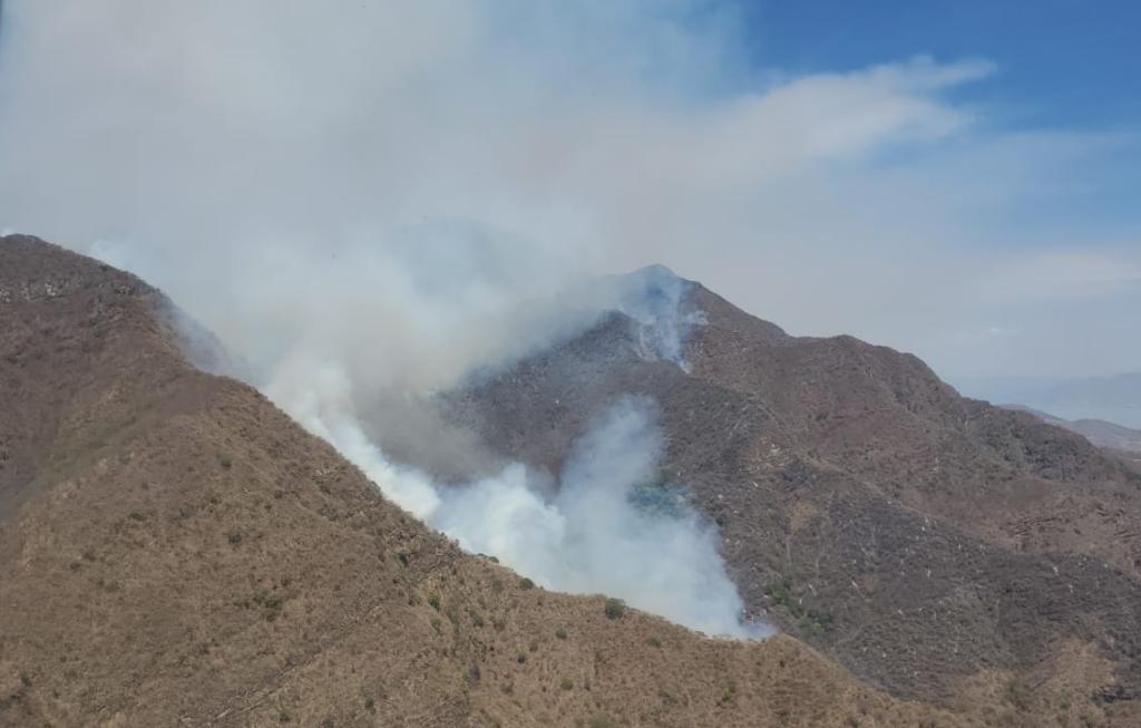 Reportan 72 Incendios Forestales Activos En México Notisistema 2701