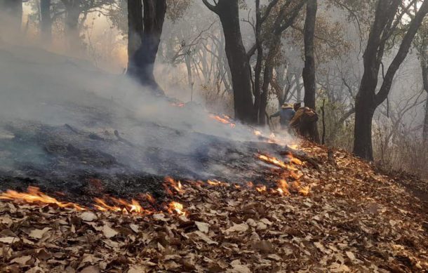 Hombre detenido por iniciar incendio forestal queda a disposición del MP