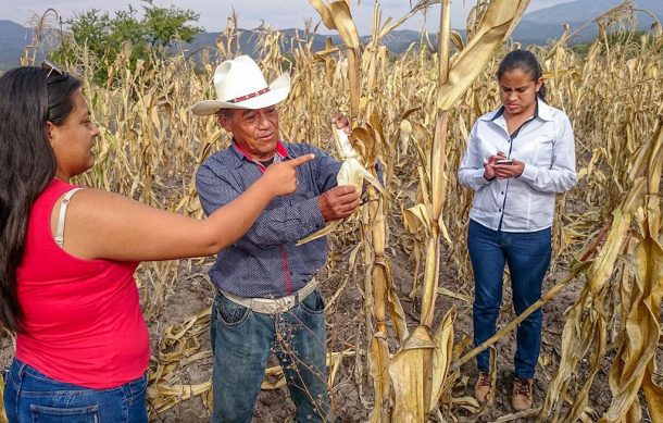 Gobierno del Estado recibe solicitudes de apoyo por sequía