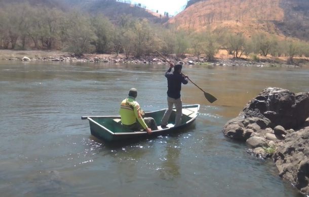 Hombre muere atacado por un cocodrilo en Puerto Vallarta