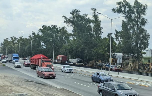 Denuncian tala masiva de árboles en Periférico