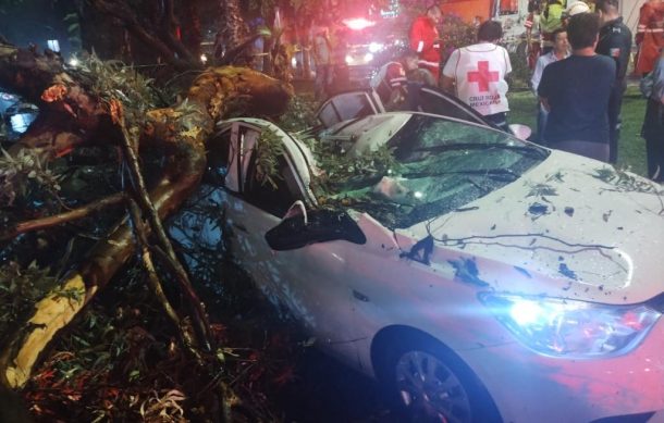 Cae enorme árbol sobre vehículo en Zapopan; hay tres lesionados