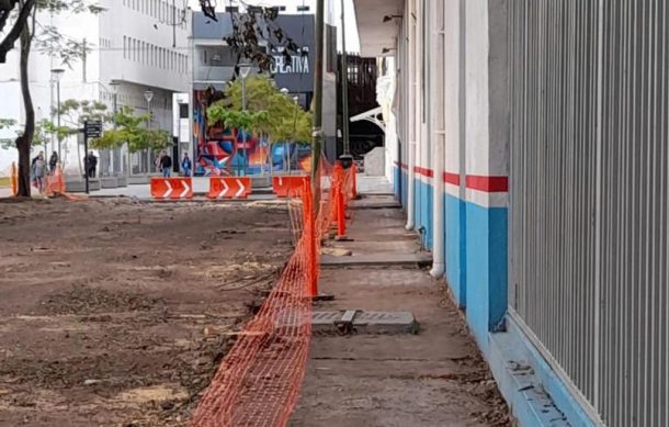 Talan una docena de árboles en el Centro por obras de remodelación