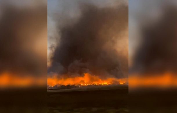 Incendio en Hawaii deja 55 muertos y más de mil desaparecidos