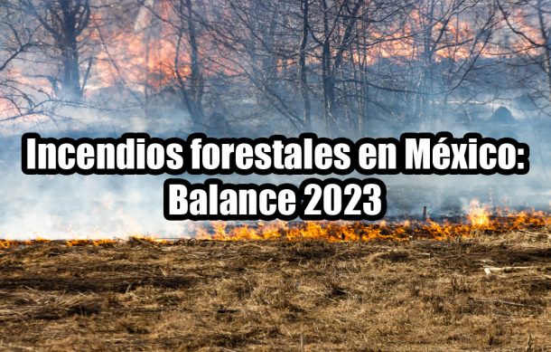 Incendios forestales en México: Balance 2023