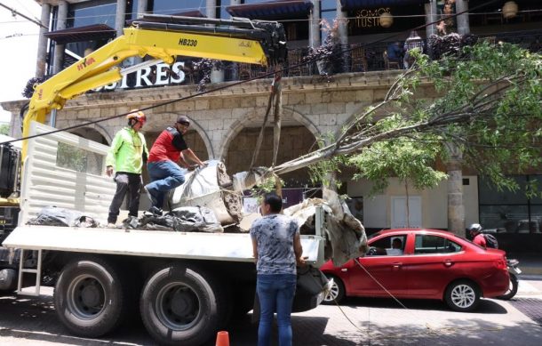 Una sola tormenta derribó 900 árboles en Guadalajara