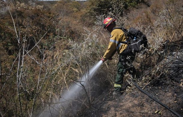 Pese al temporal, prevalecen incendios forestales en Jalisco