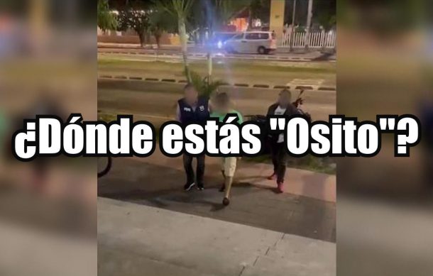 ¿Dónde estás “Osito”?