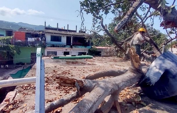 “Lidia” dejo tres mil 400 casas con daños en Jalisco