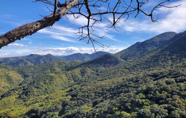 Desactivan alerta atmosférica en cinco municipios al sur de Jalisco