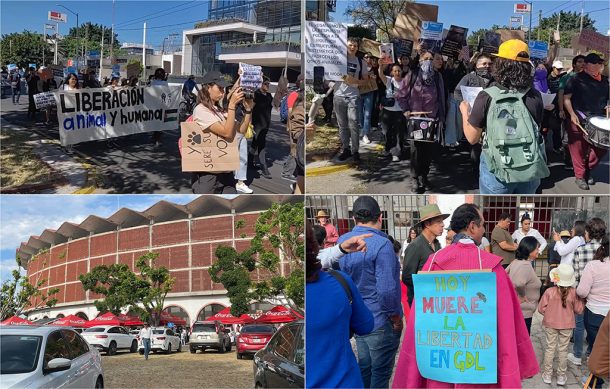 Manifestaciones antagónicas: protestan por la defensa de los animales y por las corridas de toros