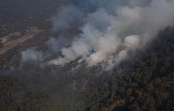 Incendios forestales consumen más hectáreas de bosques en Jalisco