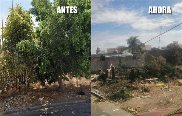 Denuncian ecocidio en predio de Huentitán