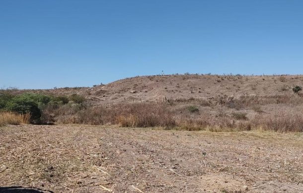 Localizan cadáver en Tlajomulco de Zúñiga