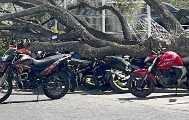 Se desploma árbol sobre una decena de motos en base de la Policía de Zapopan