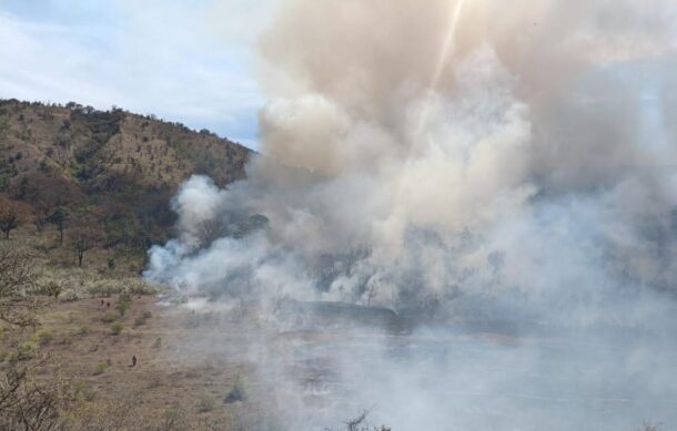 Reportan incendio dentro del Bosque de La Primavera