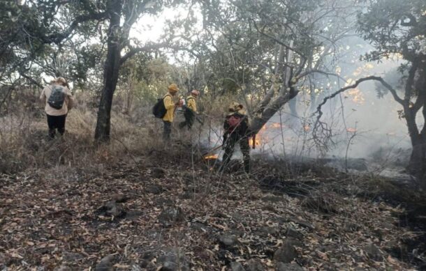 Se registraron nueve incendios forestales en Jalisco este domingo