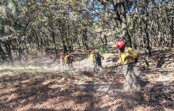 Extinguen incendio que se registró en La Primavera