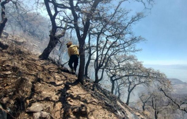 Controlan incendio forestal en Ixtlahuacán de los Membrillos