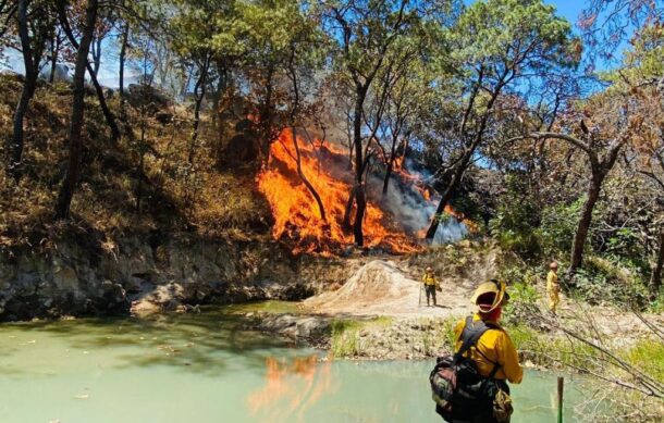 Incendios forestales han sido benévolos con Jalisco:
