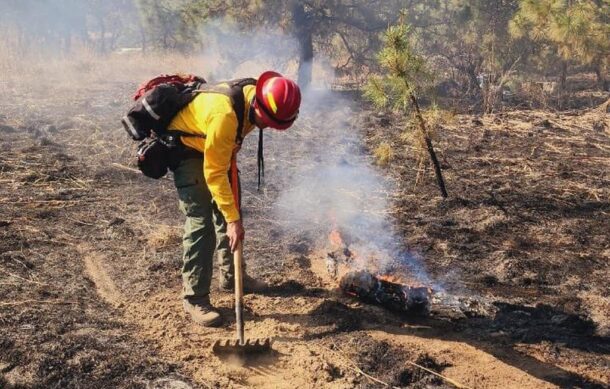 Se registra nuevo incendio en el Bosque de La Primavera