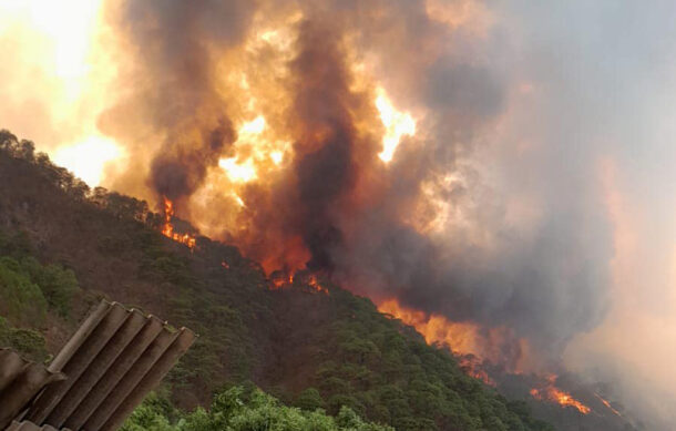 Fallece brigadista forestal en incendio de Mascota