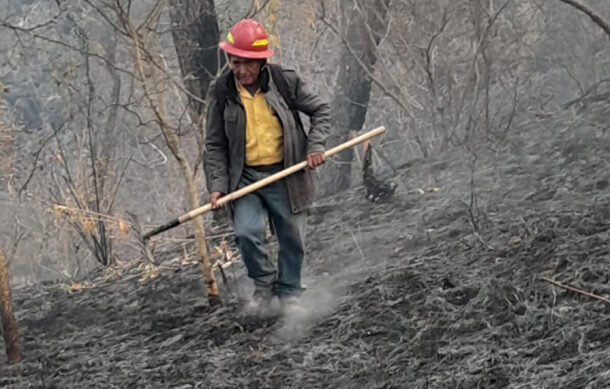 Controlan incendio forestal en paraje de Mazamitla